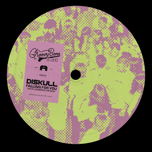 Premiere: Diskull - Falling For You [Groovy Bone]