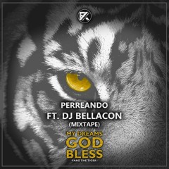 FAKO FT DJ BELLACON - MIXTAPE PERREANDO EDIT DJ