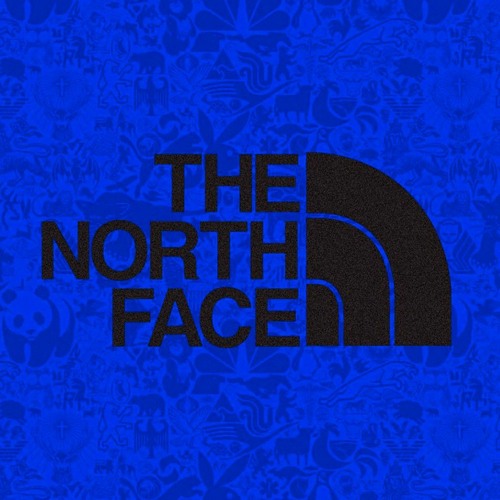 north face travis scott