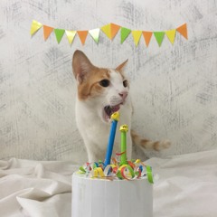 Be My Birthday - Ha Hyun Sang (Cover)