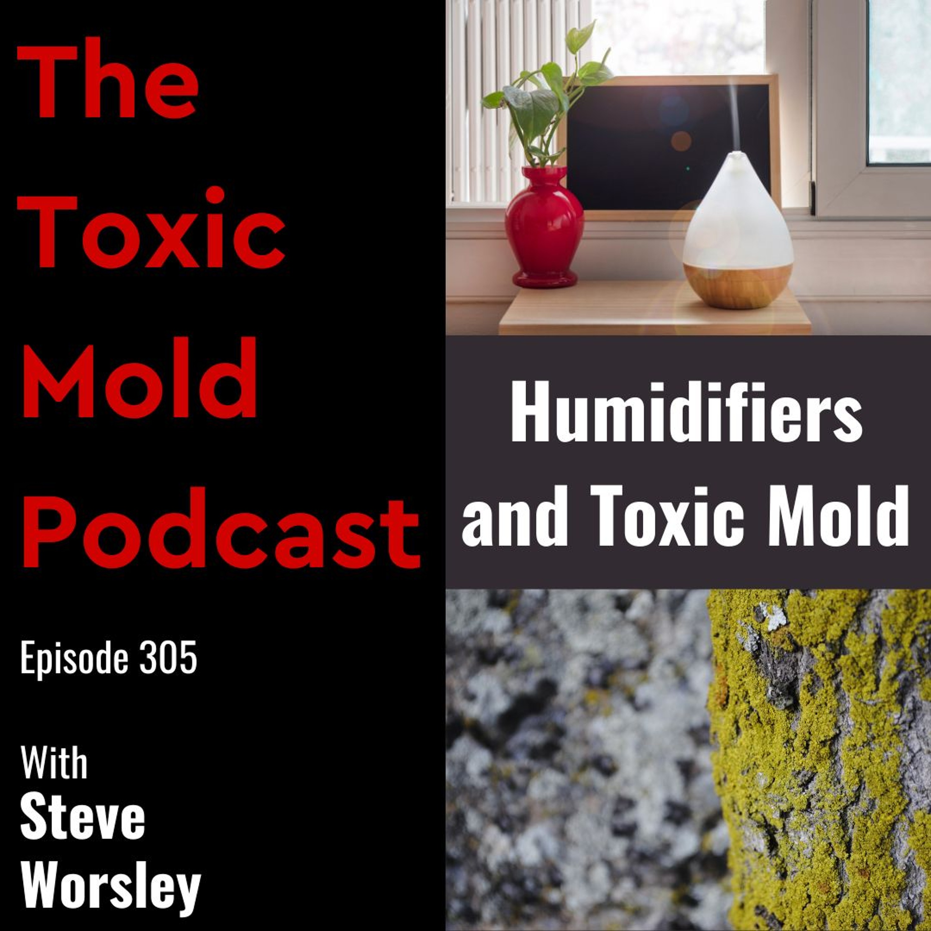 EP 305: Humidifiers and Toxic Mold
