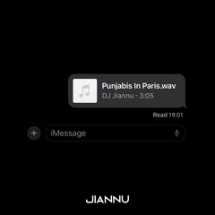 Punjabis In Paris | (ft. Jay Z, Panjabi MC, Malkit Singh & more)