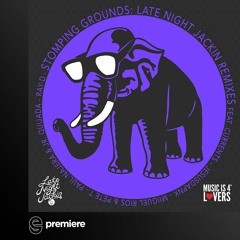 Premiere: Miguel Rios, Pete T - Intelligent Warrior (Jesusdapnk Remix) - Music is 4 Lovers