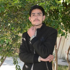 stargi_de_sre_lambe_lambo_na_zar_sham🔥
