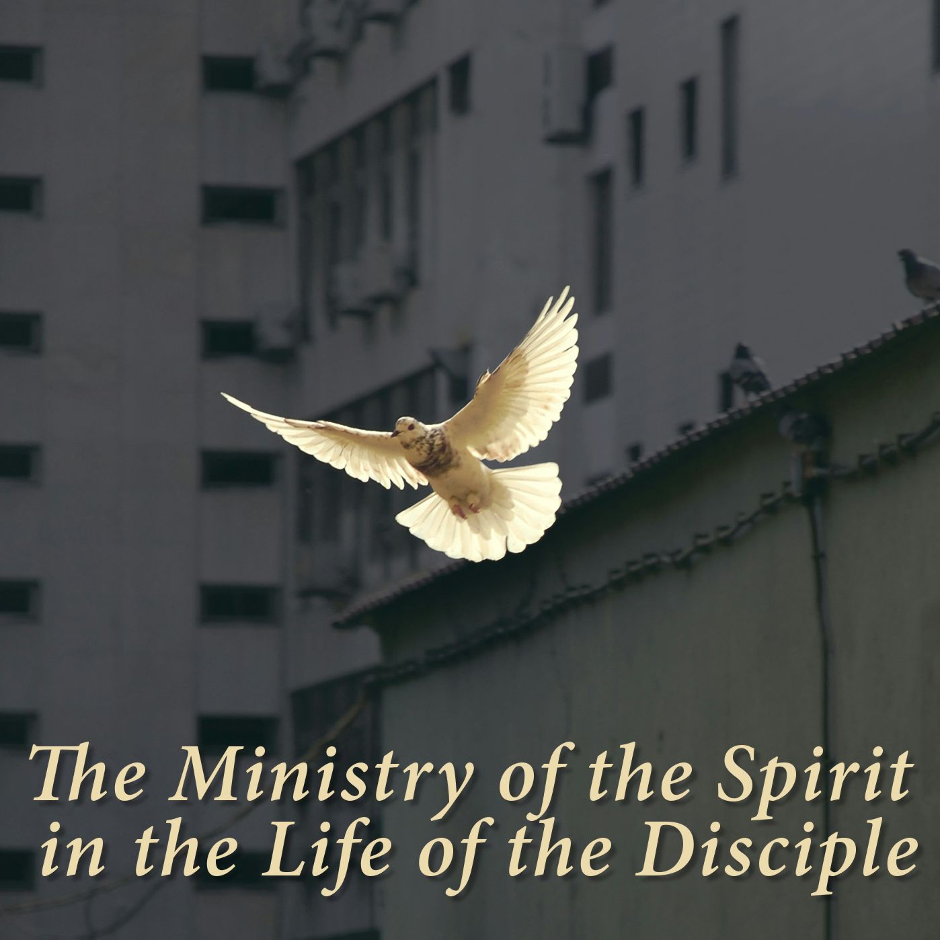 The Ministry of the Spirit in the Life of the Disciple - Part 2 episode artwork