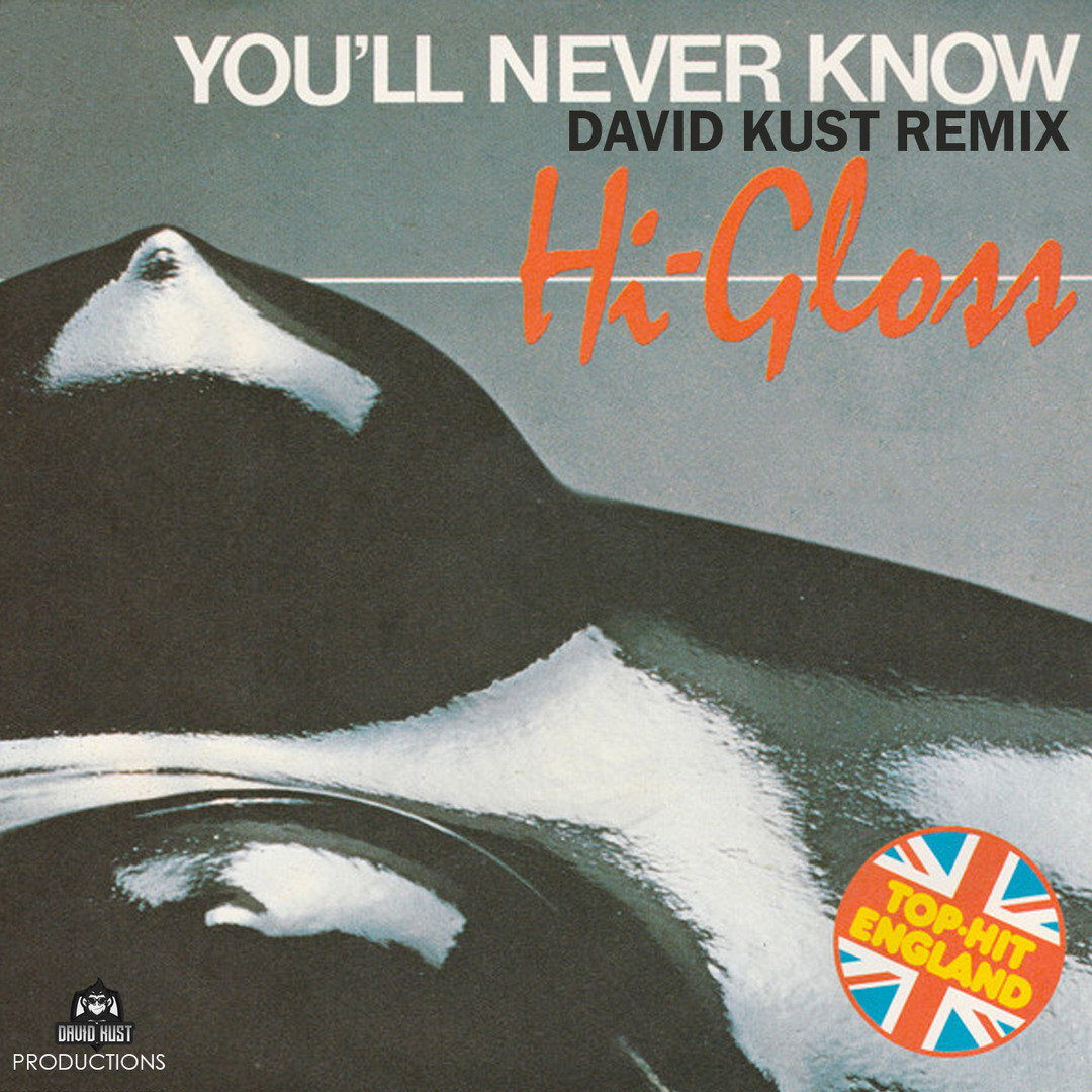 Stream Hi-Gloss - You'll Never Know (David Kust Radio Remix) by