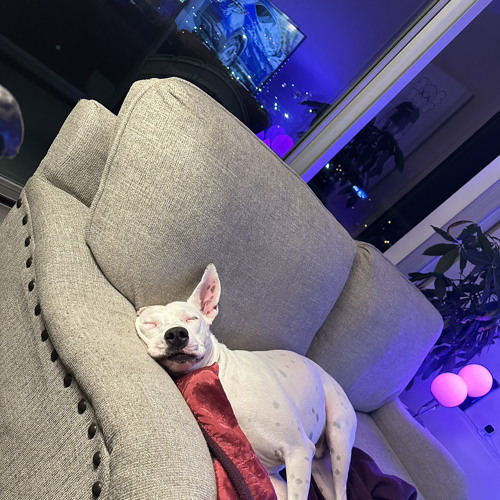 AN EVENING WITH DEV #002