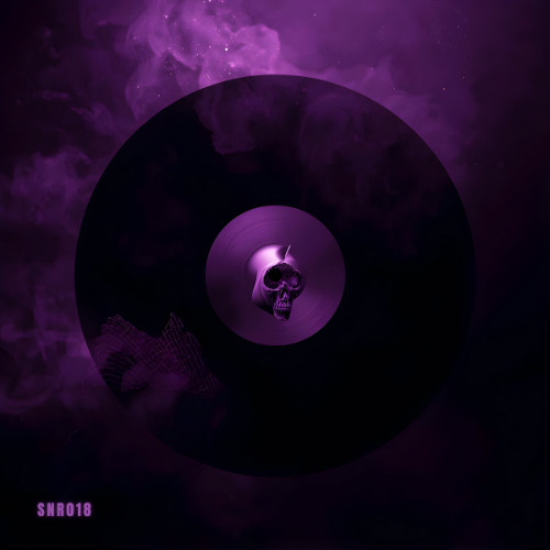 PREMIERE: Bassetian - Shake the walls [SYNERYTHM018]