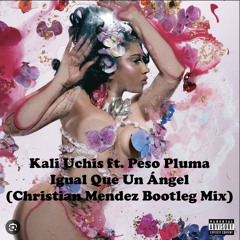 Kali Uchis ft. Peso Pluma - Igual Que Un Angel (Christian Mendez Bootleg Mix)