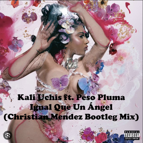 Kali Uchis ft. Peso Pluma - Igual Que Un Angel (Christian Mendez Bootleg Mix)