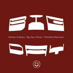 Motoko & Myers - Plover (Perko Remix) - from Big Day (FTDIGI011)