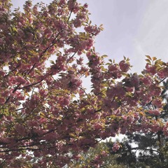 Idk just new era >^<