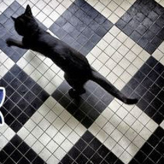 membenci untuk cinta ( aku tak tau apa yang terjadi antara aku dan kau yang ku tau pasti ku benci)