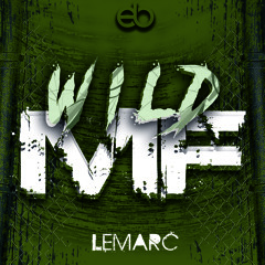 Wild MF (Original Mix)*Free Download*
