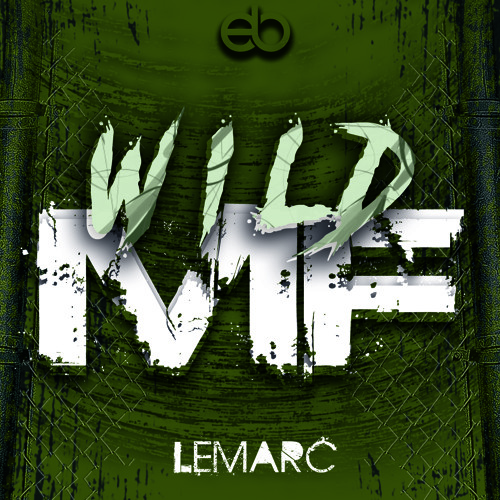 Wild MF (Original Mix)*Free Download*