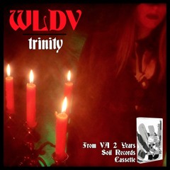 WLDV - Trinity (SOTA030)