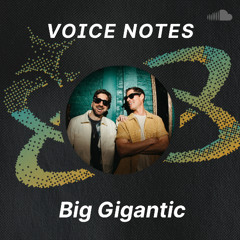 Voice Notes: Big Gigantic on "Journey"