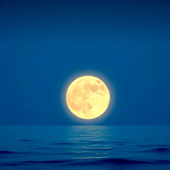 Zhenya - Hello, I don't like you (Moonlit) (Remaster 2, Favorite Version)