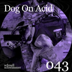 schnellschwimmer 043 Dog on Acid