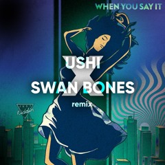 When You Say It (Ushi & Swan Bones Remix)