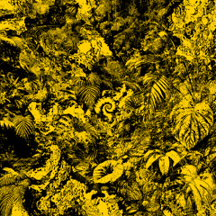 PREVIEW: Secretsundaze - WAR1210