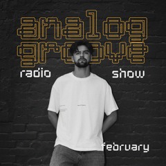 Gvidasolo - Analog Groove Mix February 2025