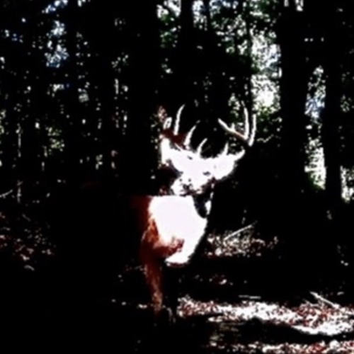 What Happened In June?