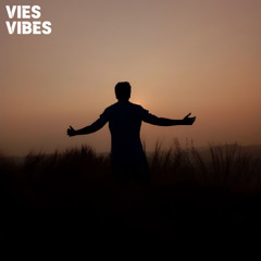 VIES VIBES - Wild | Out Now 🎶