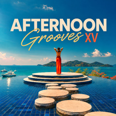 Afternoon Grooves vol.15 | Smooth House, Jazz-Infused Beats & Deep Soul