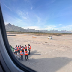 Cece's interlude Flip