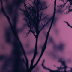 Heartache ( prod. by DIM SILVER )