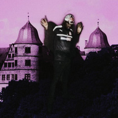 FLYY WIT ME [LIL TRVSH X F16]