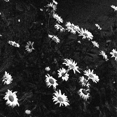 It's over - Mili Maine (demo)