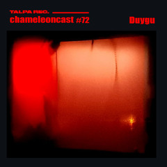 chameleon #72 - Duygu