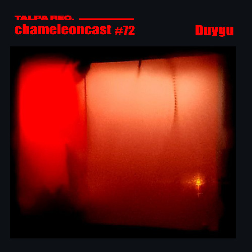 chameleon #72 - Duygu