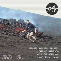 Organic Analogue Transmission 30 with THE HORN & Pearl River Sound [01.03.2023]