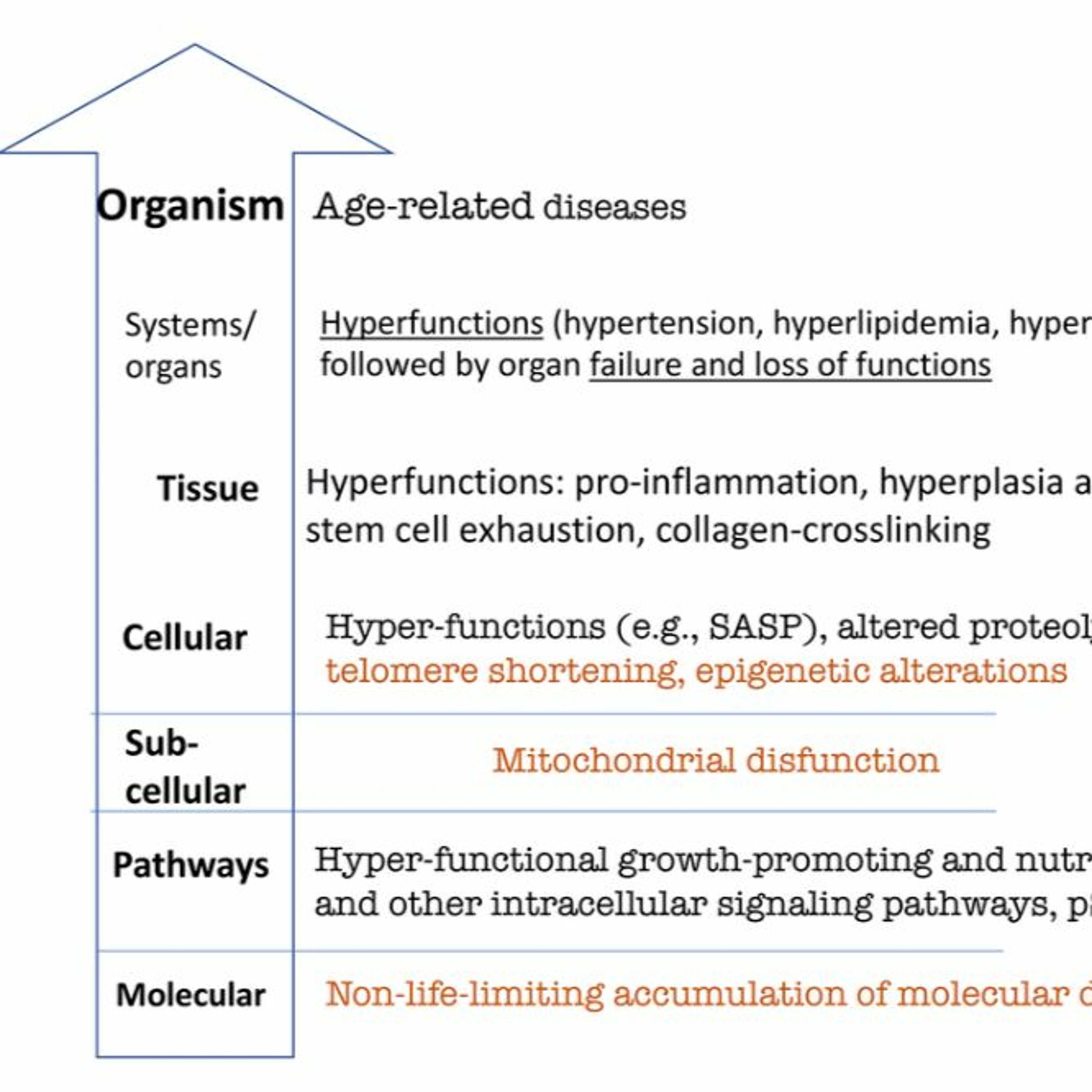 Aging-US