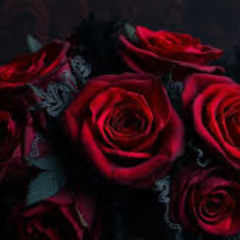LACE AND ROSE