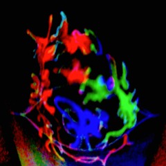 NTS . Slow Hand Clutches w/ CLAM (Kuthi Jin & Voronhil)