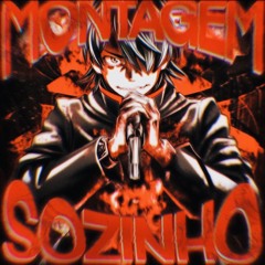 Montagem Sozinho (Slowed)