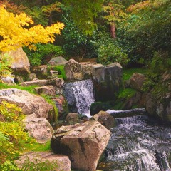 FOOL (Prod. By Lynx Cane)