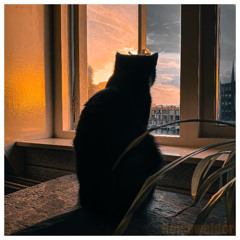 Adele - Rolling In The Deep (Noisy Fabrication Edit)