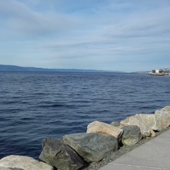 Hospital Ward - Flashback From The Early Days