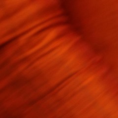 Filter.edit version. By The Tyndall Effect