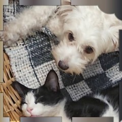 It Is Well With My Soul (Piano Cover)