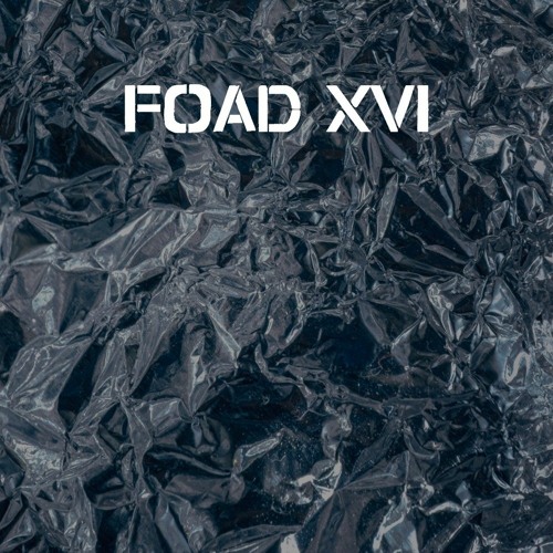 XVI - OPTIC VEIL