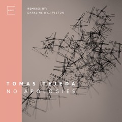 No Apologies (Original Mix)