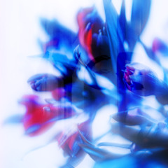 A Liminal Dealer of Melancholy