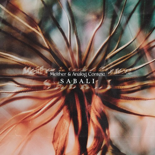 Meither, Analog Context - Sabali