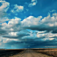 The Road Back Home